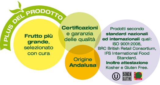 I plus del prodotto: Frutto più grande, selezionato con cura. Certificazioni
e garanzia delle qualità. Origine Andalusa. Prodotti secondo standard nazionali ed internazionali quali: ISO 9001:2008, BRC British Retail Consortium, IFS International Food Standard. Inoltre attestazione Kosher e Gluten Free.